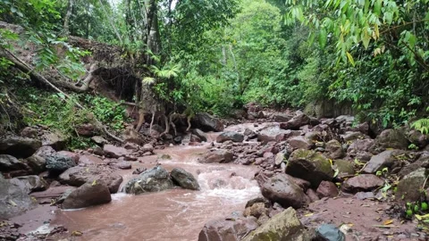 Water flowing between rocks and stones in mountain river in Pozuzo, Peru 動画素材 283273095