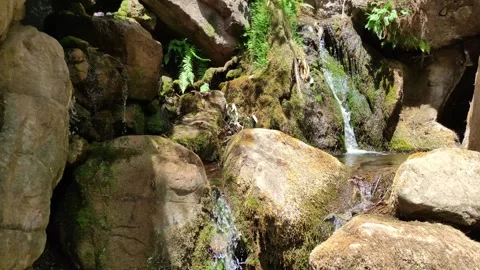 Water flowing between rocks and stones in a forest near Cusco, Peru Vídeo Stock 288498101
