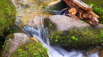 Water flowing in between rocks Stock Footage 85490570