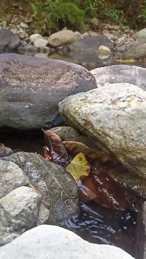Water flowing between the rocks Stock Footage 207981467