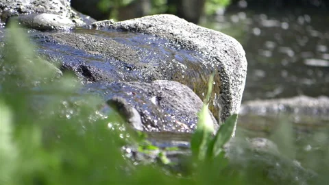 Water flowing in brook in slow motion 180fps Stock Footage 93603535