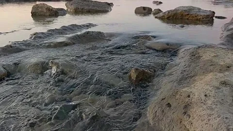 Water flowing in calm river Stock Footage 146691031