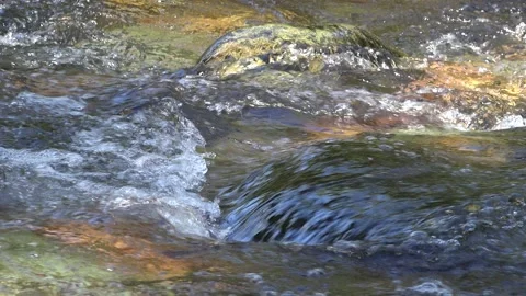 Water flowing in a clean stream. 4K Stock Footage 162637130