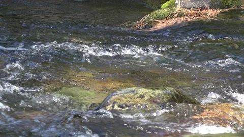 Water flowing in a clean stream. 4K Stock Footage 162637174