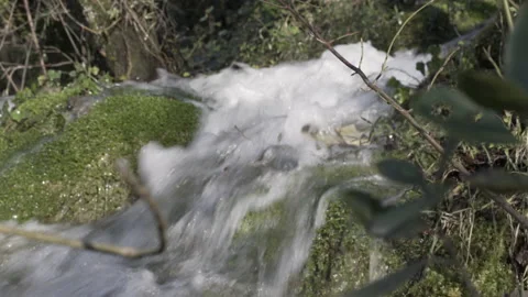 Water flowing closeup between rocks and plants, 4K, DNxHR Video stock 152529328