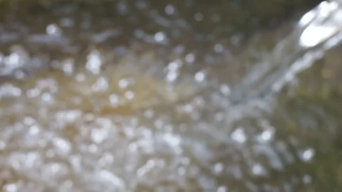 Water flowing closeup, mountain stream in a forest, splashes, bubbles and bokeh Stock Footage 117362708