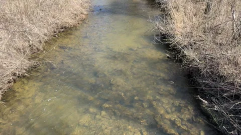 Water flowing in a creek in winter Stock Footage 303930853