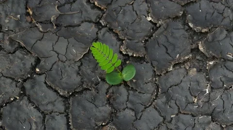 Water flowing on dead soil. 库存影片 63315853
