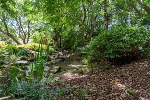 Water flowing down an artificial stream at the japanese gardens in Toowoomba Stock Photos