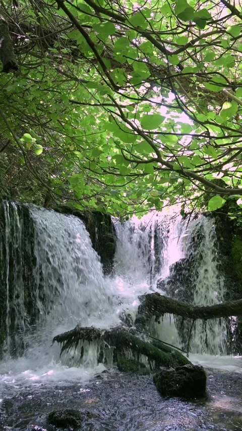 Water flowing down cascada de Riofrio waterfall in a Spanish natural park Stock Footage 304728175
