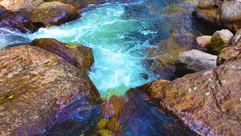 Water Flowing Down in the Forest Stock Footage 264351963