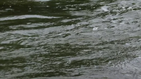Water flowing down Movement of clear river flow in the mountains Stock Footage 297731677
