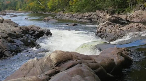 Water flowing down rapids into wider stream beside forest Video stock 62417384