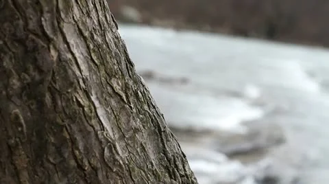 Water Flowing Down a River (13 of 24) Stock Footage 21853244