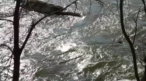 Water Flowing Down a River Stock Footage 22196745