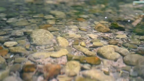 Water flowing down a river in the forest Stock Footage 152649897