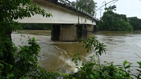 Water flowing down on the river Kalu Ganga through the base of the bridge Video stock 219746525