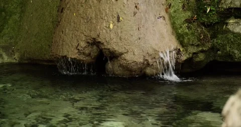 Water flowing down the rock in forest. Stock Footage 156420023