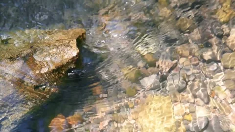 Water flowing down the rocks of a river Vidéo 152649944