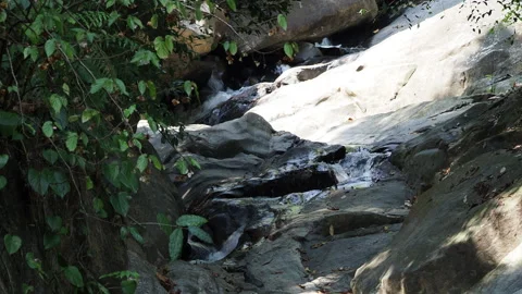 Water flowing down a small forest stream Stock-Footage 340641349