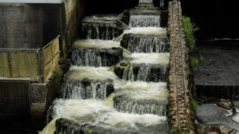 Water flowing down a stepped fish ladder Stock Footage 337733660
