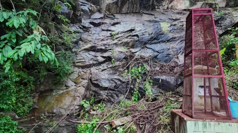 Water flowing down stone wall in tropical forest Stock Footage 318391453