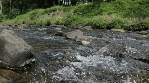 Water Flowing Down a Stream 库存影片 871817