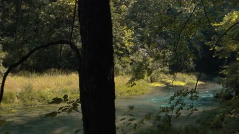 Water Flowing Down Stream Vídeos de archivo 138715953