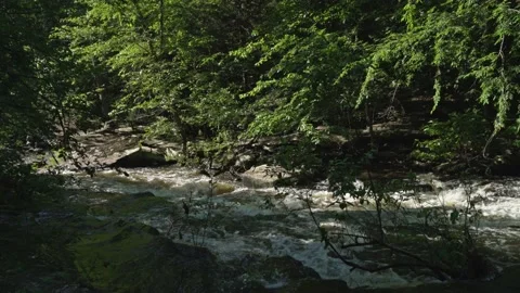 Water Flowing Down Stream Stock Footage 140295155