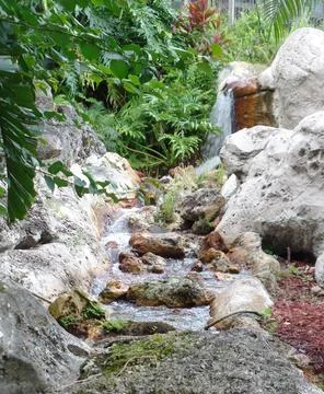 Water Flowing Down the Stream Stock Photos