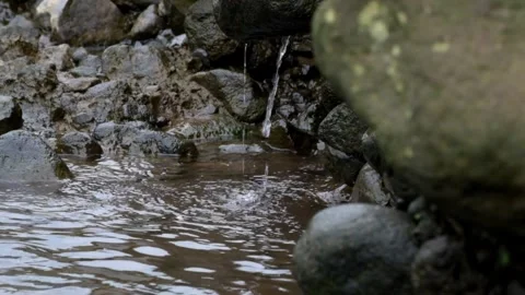 Water flowing down through riverside stones Video stock 297731660
