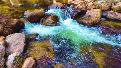Water Flowing Downstream in the Forest Stock Footage 264358547