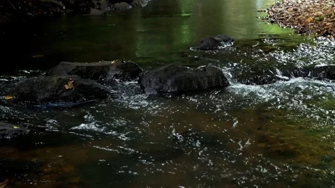 Water flowing downstream a river through dark rocks 動画素材 92899856