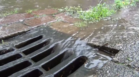 Water flowing in a drain after downpour Stock Footage 61166631