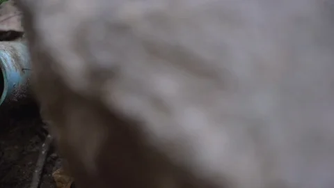 Water flowing from a drainage pipe. Stock Footage 87809294