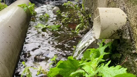 Water Flowing from Drainage Pipe into Small Stream Stock Footage 326080649