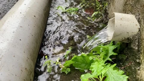 Water Flowing from Drainage Pipe into Small Stream Stock Footage 326080650