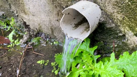 Water Flowing from Drainage Pipe into Small Stream Stock Footage 326080668