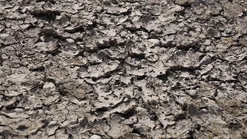 Water Flowing Into Dry Cracks in Mud Stock Footage 128980062
