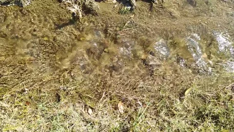 Water flowing in the field. Stock Footage 142654592