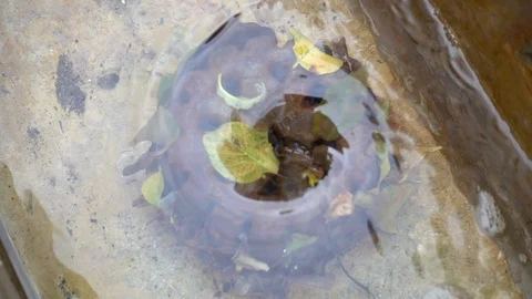 Water flowing into filter tanks. Stock Footage 103251385