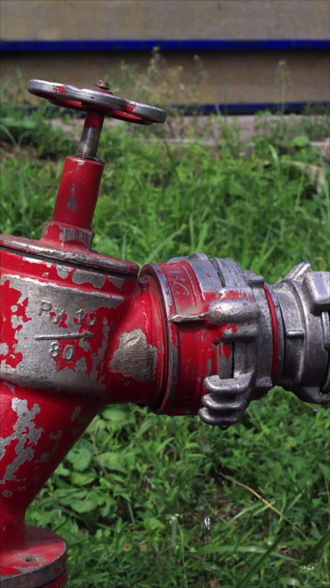 Water Flowing From Fire Hydrant With Hose. Vertical. Stock-Footage 296592679