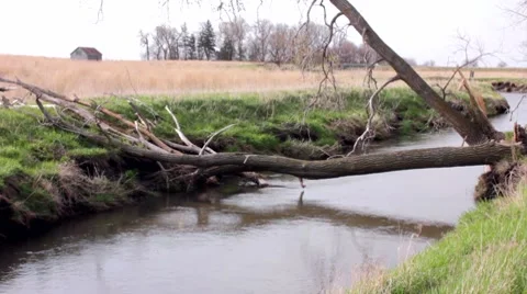 Water flowing Stock Footage 7761048