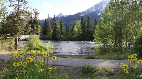 Water Flowing Stock Footage 40648867