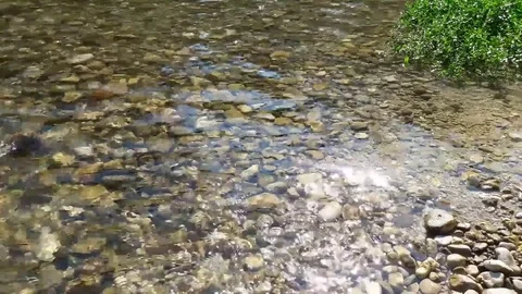 Water flowing Stock Footage 77923529