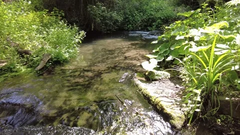 Water flowing 스톡 동영상 234268050