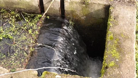 Water flowing Stock Footage 242115161