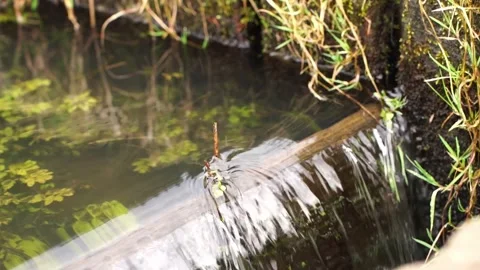 Water flowing Stock Footage 242115209