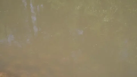 Water Flowing Stock Footage 271369184