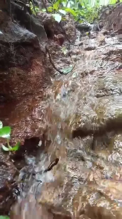 Water flowing Video stock 314253969